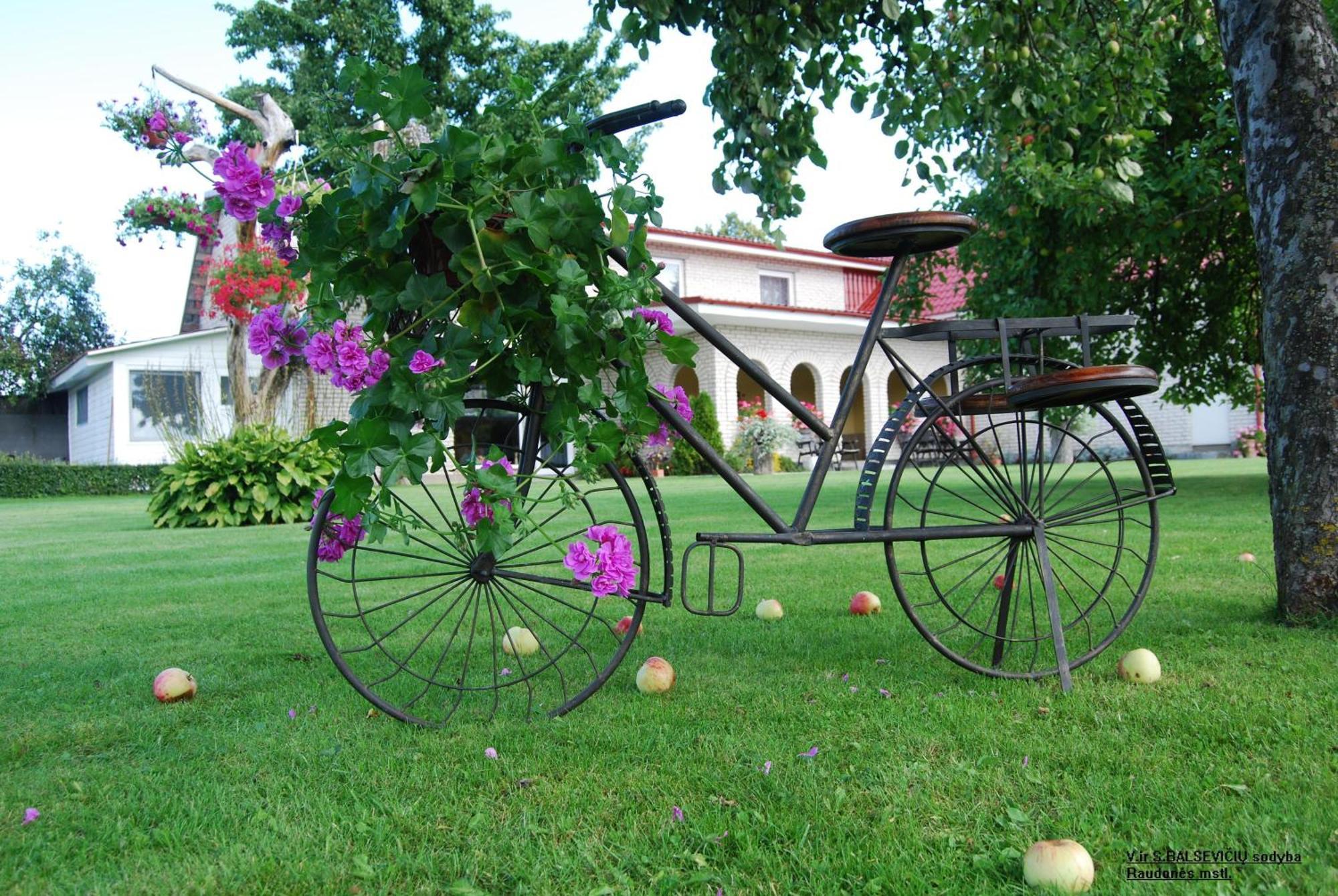 Stasio Balseviciaus Homestead Raudonė エクステリア 写真